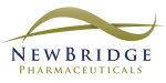 New bridge Logo